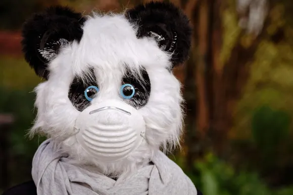 SpinShake Kasino Podpora